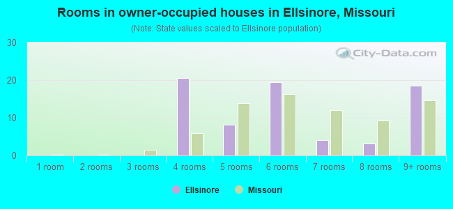 Rooms in owner-occupied houses in Ellsinore, Missouri