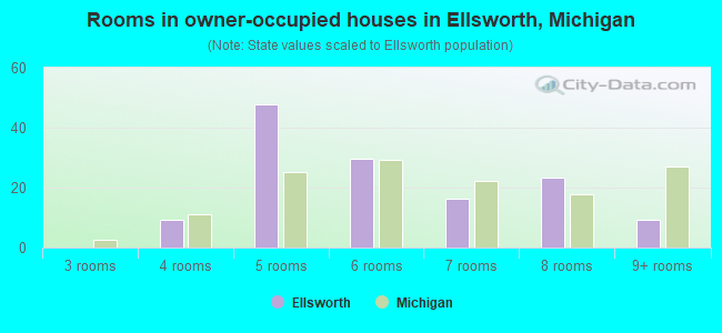 Rooms in owner-occupied houses in Ellsworth, Michigan