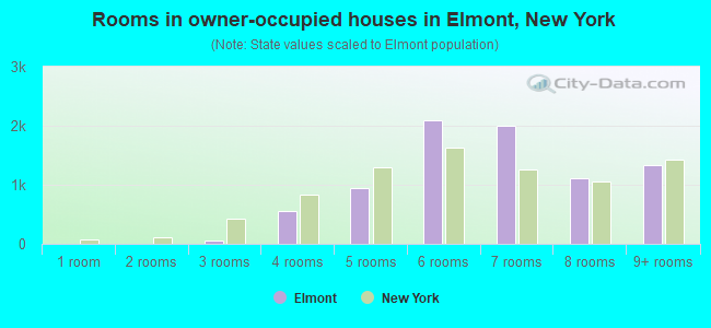 Rooms in owner-occupied houses in Elmont, New York