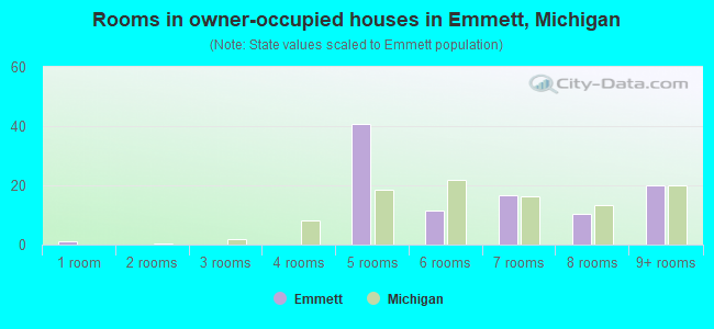 Rooms in owner-occupied houses in Emmett, Michigan