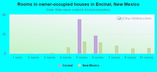 Rooms in owner-occupied houses in Encinal, New Mexico