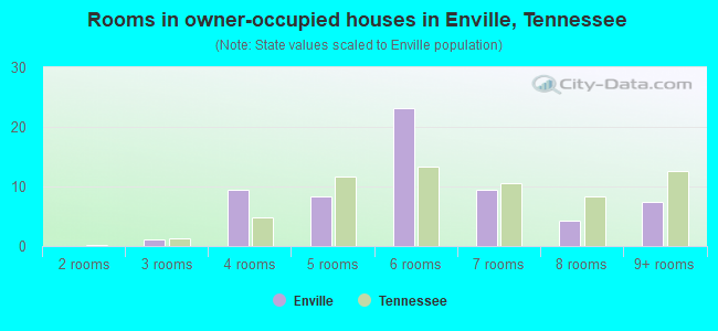 Rooms in owner-occupied houses in Enville, Tennessee