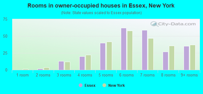 Rooms in owner-occupied houses in Essex, New York