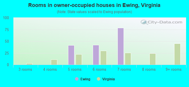 Rooms in owner-occupied houses in Ewing, Virginia