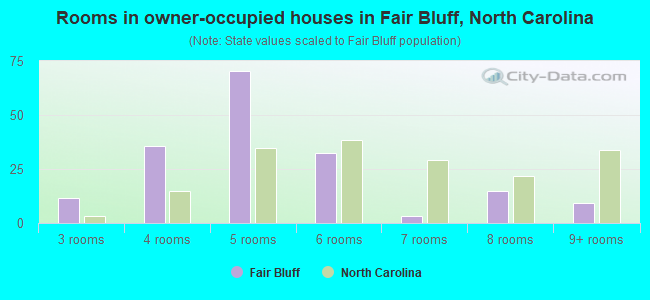 Rooms in owner-occupied houses in Fair Bluff, North Carolina