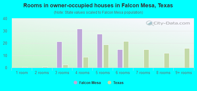 Rooms in owner-occupied houses in Falcon Mesa, Texas