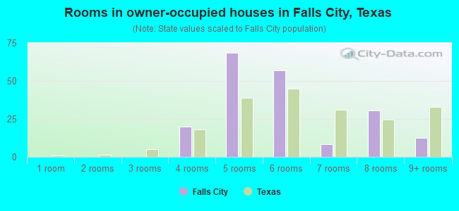Rooms in owner-occupied houses in Falls City, Texas