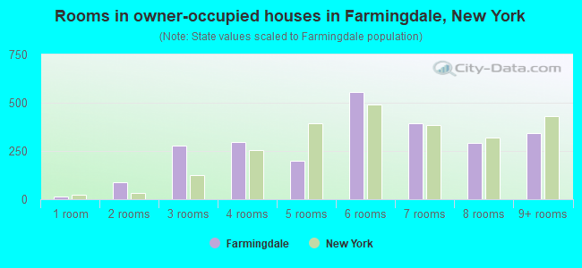 Rooms in owner-occupied houses in Farmingdale, New York