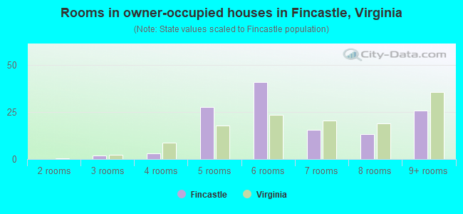 Rooms in owner-occupied houses in Fincastle, Virginia