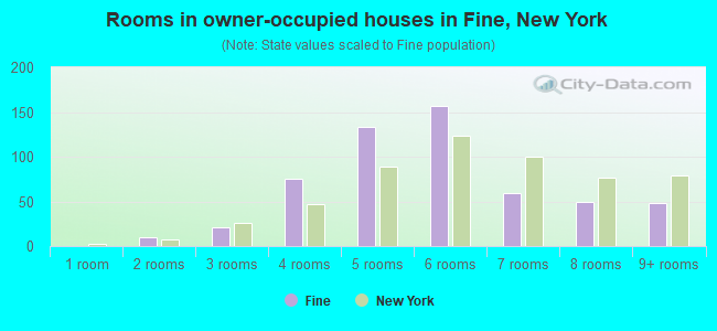 Rooms in owner-occupied houses in Fine, New York