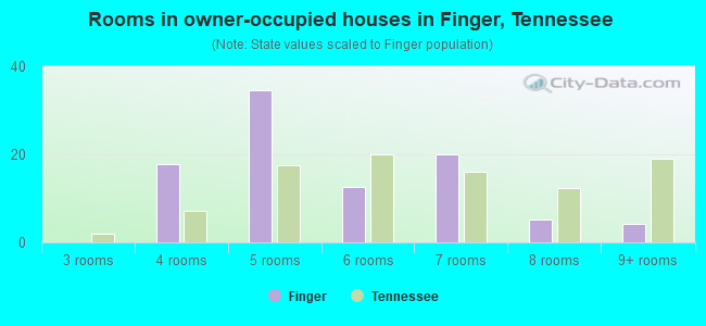 Rooms in owner-occupied houses in Finger, Tennessee