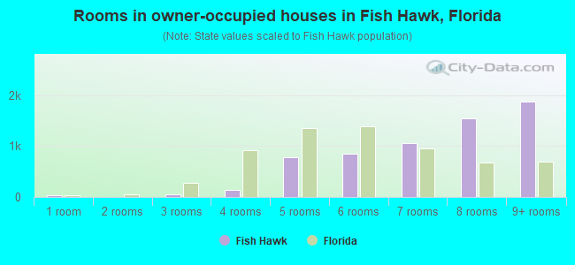 Rooms in owner-occupied houses in Fish Hawk, Florida
