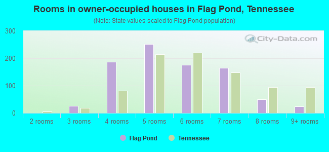 Rooms in owner-occupied houses in Flag Pond, Tennessee