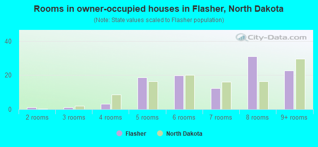 Rooms in owner-occupied houses in Flasher, North Dakota