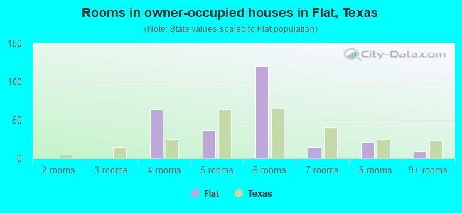 Rooms in owner-occupied houses in Flat, Texas