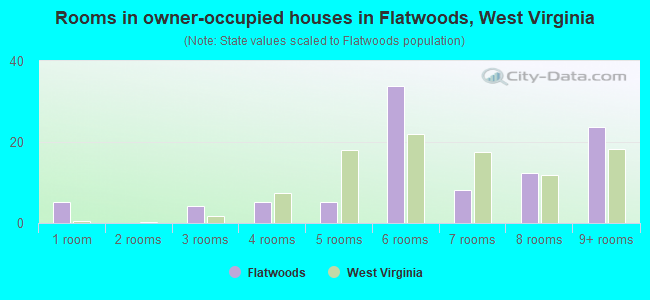 Rooms in owner-occupied houses in Flatwoods, West Virginia