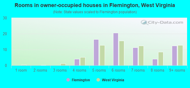 Rooms in owner-occupied houses in Flemington, West Virginia