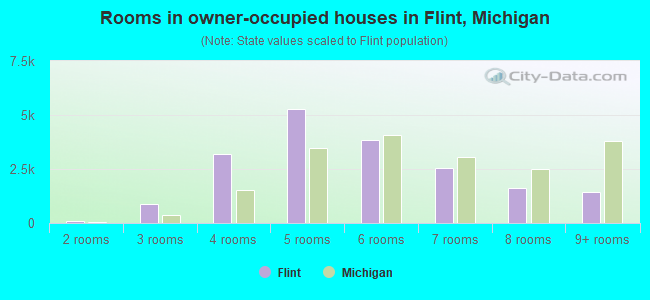 Rooms in owner-occupied houses in Flint, Michigan