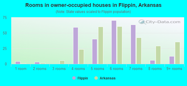 Rooms in owner-occupied houses in Flippin, Arkansas
