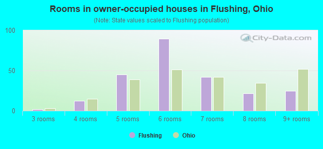 Rooms in owner-occupied houses in Flushing, Ohio