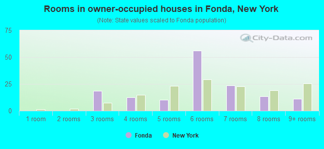 Rooms in owner-occupied houses in Fonda, New York