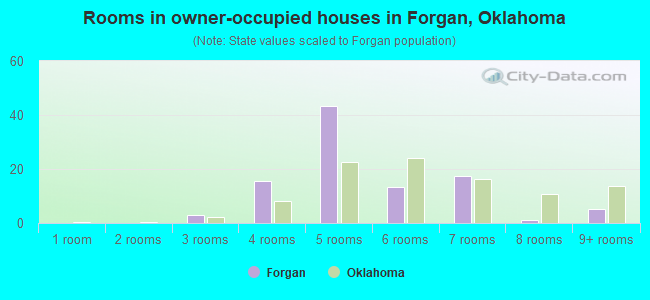 Rooms in owner-occupied houses in Forgan, Oklahoma
