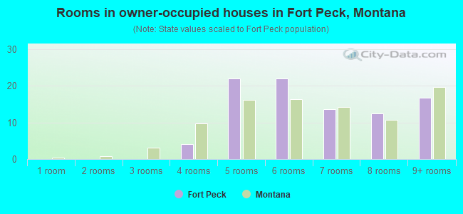 Rooms in owner-occupied houses in Fort Peck, Montana