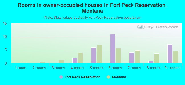 Rooms in owner-occupied houses in Fort Peck Reservation, Montana
