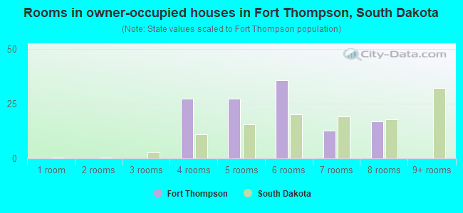 Rooms in owner-occupied houses in Fort Thompson, South Dakota