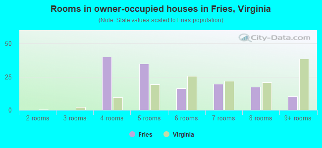 Rooms in owner-occupied houses in Fries, Virginia