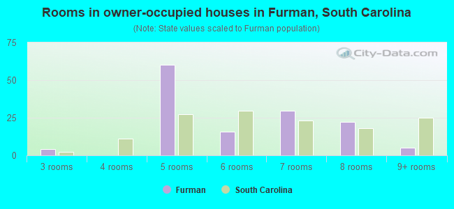 Rooms in owner-occupied houses in Furman, South Carolina