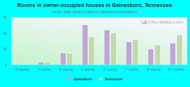 Rooms in owner-occupied houses in Gainesboro, Tennessee