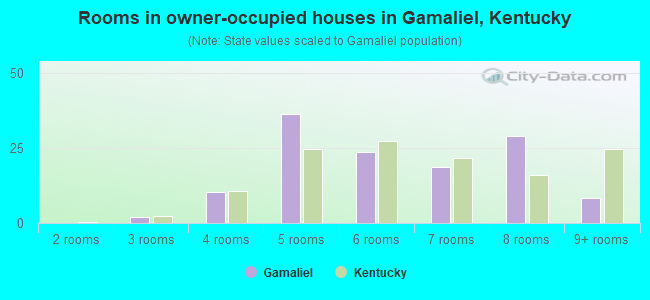 Rooms in owner-occupied houses in Gamaliel, Kentucky