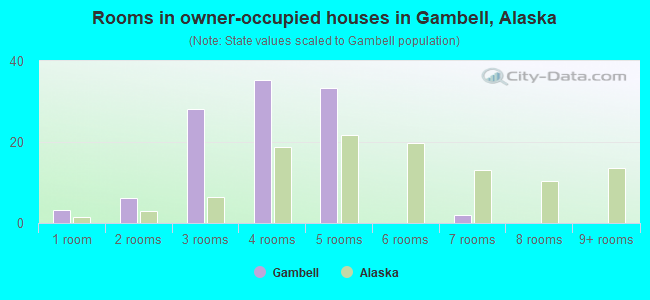 Rooms in owner-occupied houses in Gambell, Alaska