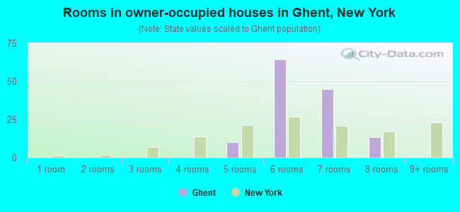 Rooms in owner-occupied houses in Ghent, New York