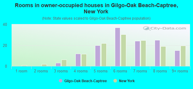 Rooms in owner-occupied houses in Gilgo-Oak Beach-Captree, New York