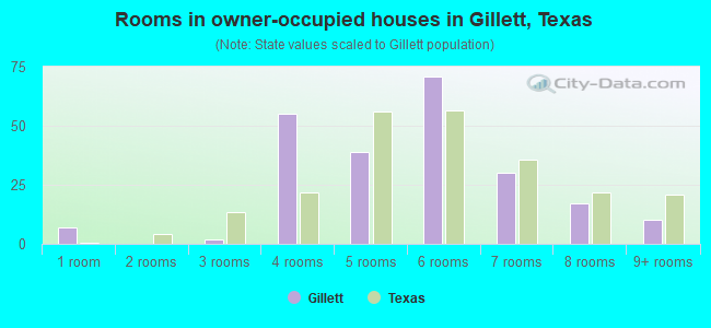 Rooms in owner-occupied houses in Gillett, Texas