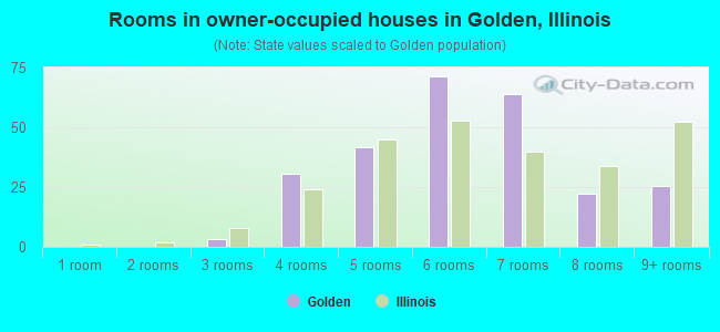 Rooms in owner-occupied houses in Golden, Illinois