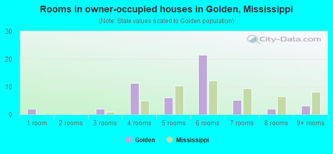 Rooms in owner-occupied houses in Golden, Mississippi