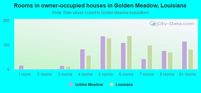 Rooms in owner-occupied houses in Golden Meadow, Louisiana