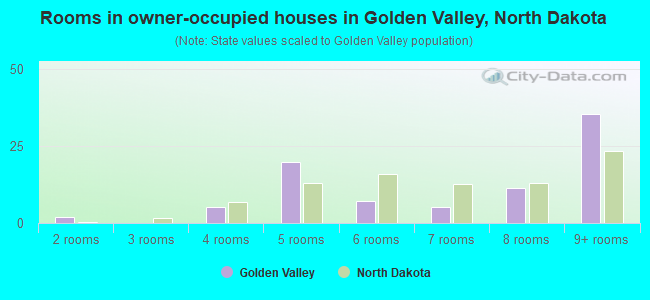 Rooms in owner-occupied houses in Golden Valley, North Dakota
