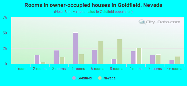 Rooms in owner-occupied houses in Goldfield, Nevada