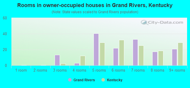 Rooms in owner-occupied houses in Grand Rivers, Kentucky