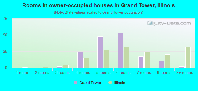 Rooms in owner-occupied houses in Grand Tower, Illinois