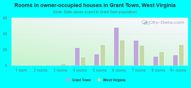 Rooms in owner-occupied houses in Grant Town, West Virginia