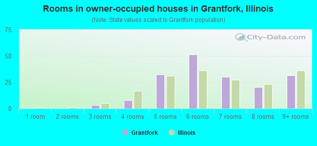 Rooms in owner-occupied houses in Grantfork, Illinois