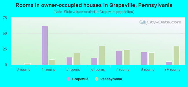 Rooms in owner-occupied houses in Grapeville, Pennsylvania