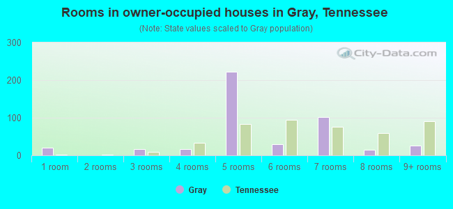 Rooms in owner-occupied houses in Gray, Tennessee