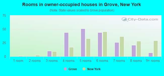 Rooms in owner-occupied houses in Grove, New York