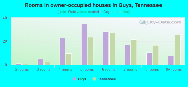 Rooms in owner-occupied houses in Guys, Tennessee